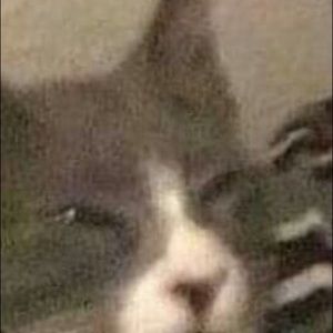 Meet your Posher, Thompson